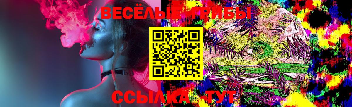 Псилоцибиновые грибы GOLDEN TEACHER  Галлюциногенные грибы Cubensis  Братск  Вход с VPN 